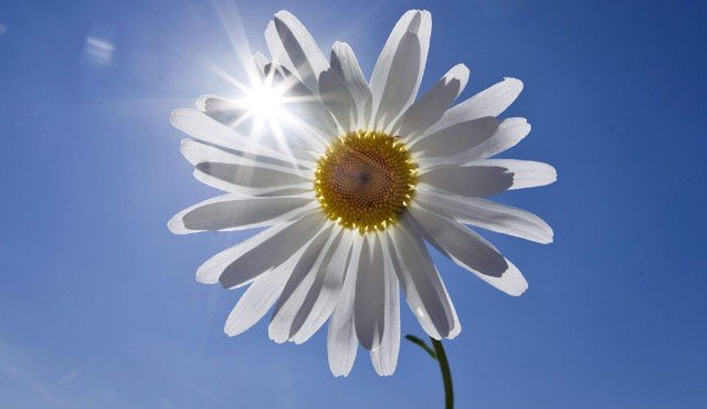 9 preuves que t’es VRAIMENT dû pour du beau temps