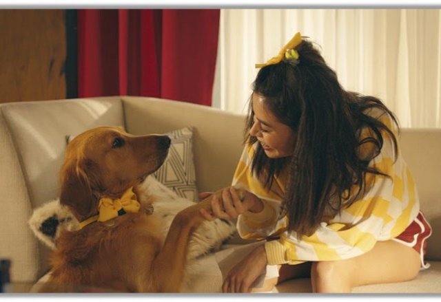 Le vidéoclip de la chanson «Happier» est ultra touchant!