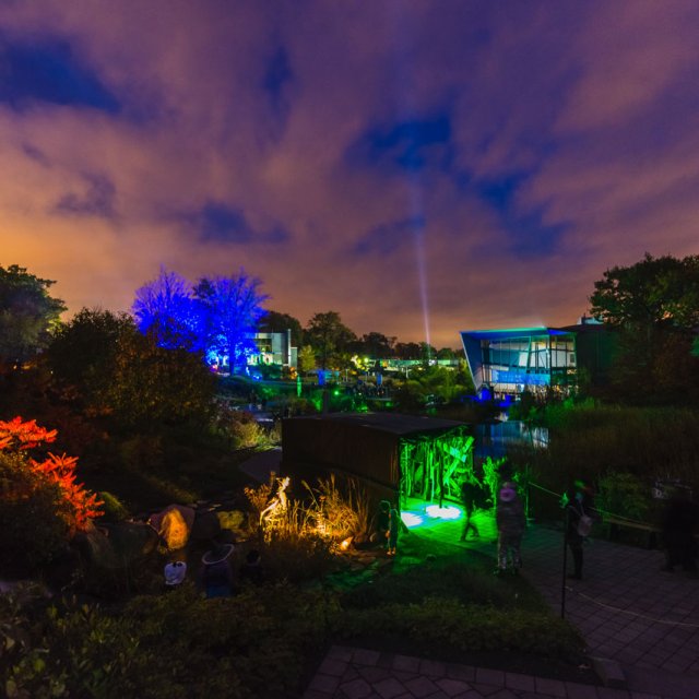 L'Agenda WKND du 25 octobre 