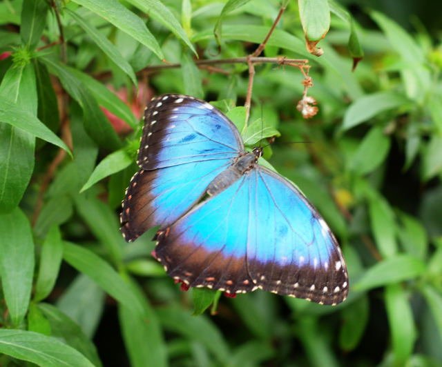 L'Agenda WKND du 21 février 2019