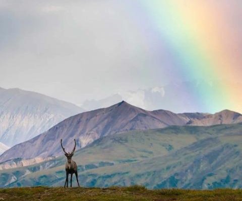 Les Retours -  10 villes qui vous paient pour que vous y habitiez