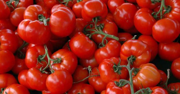 Les aliments à ne pas mettre au réfrigérateur!