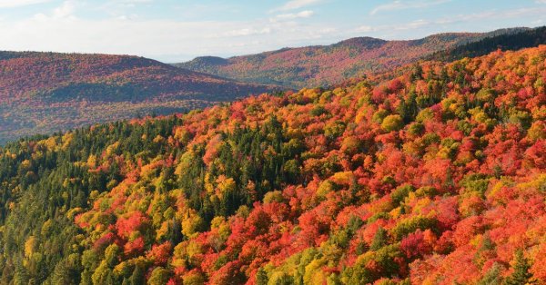 Cette carte vous permet d'en voir de toutes les couleurs cet automne au Québec