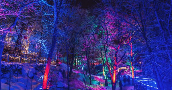 L'Agenda WKND du 9 janvier 2020