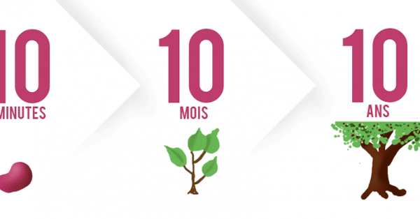 L'art de faire des bons choix par la méthode 10-10-10