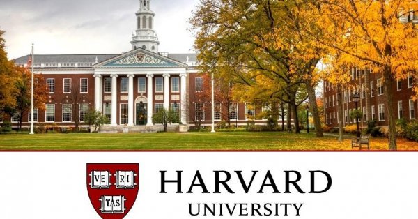 Vous pourrez dire que vous avez étudié à Harvard!