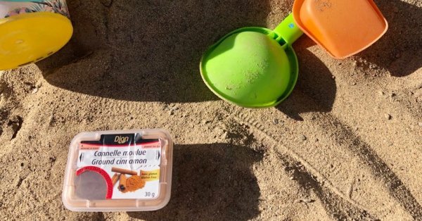 Voici comment vous «débarrasser» des bibittes de votre carré de sable