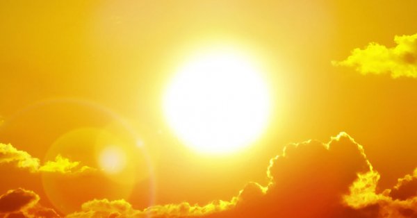 Quelques astuces pour la première canicool!