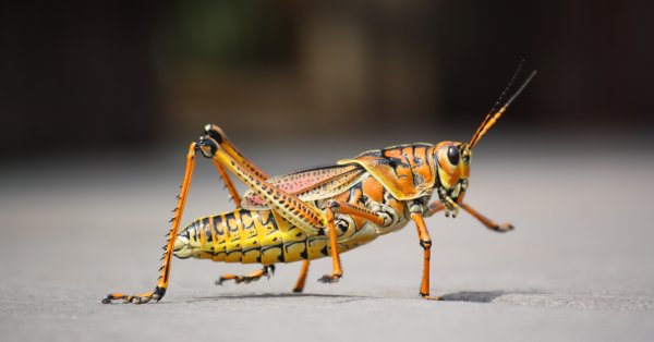 L'Agenda WKND du 17 septembre 2020