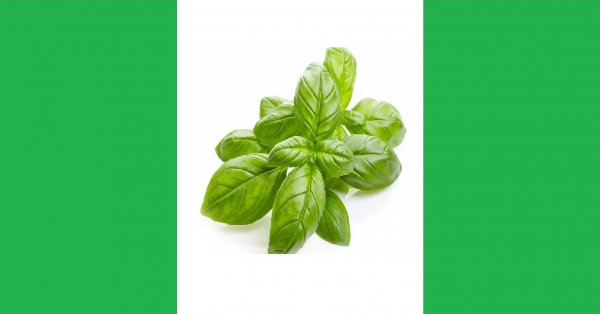 C'EST OFFICIEL : LA MEILLEURE 3E ÉPICE EST ... 