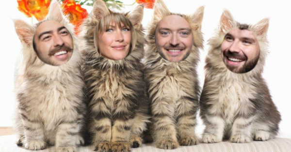 C'est la MI-AOÛT (MIAOU) et on miaule des tounes!