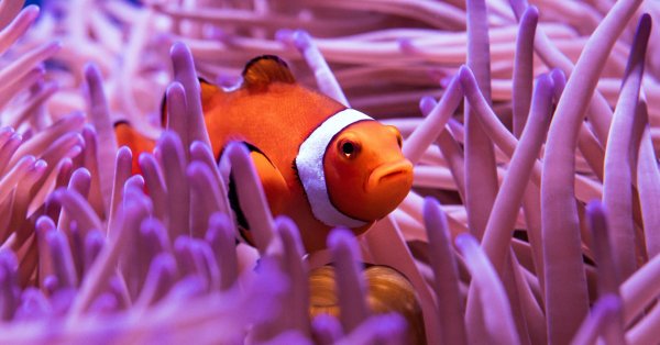 Les gens qui oublient facilement seraient extrêmement intelligents