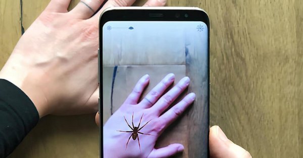 Une app pour vous aider à contrer votre phobie des araignées!
