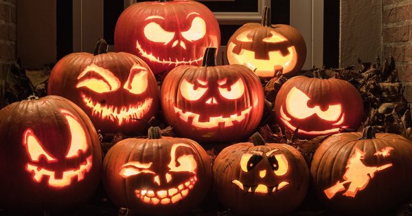 L'Agenda WKND du 28 octobre