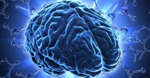 Le Quiz Gros Cerveau pour jouer pendant les fêtes!