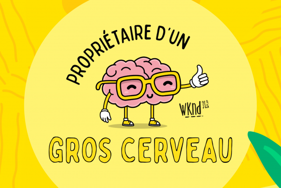 10 QUIZ Gros Cerveau