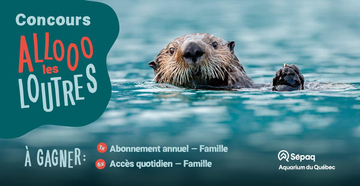 L'infoloutre - présentée par WKND 91,9 et l'Aquarium du Québec