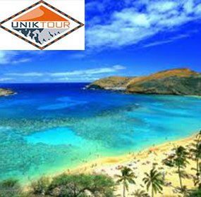 Gagnez le roadtrip de votre vie à Hawaï