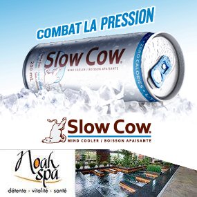 Relaxez avec Slow Cow et Noah Spa 