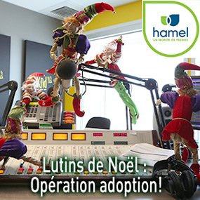 Lutins de Noël : Opération adoption!