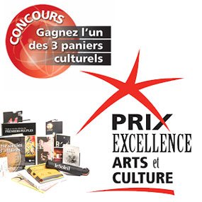 Prix excellence arts et culture