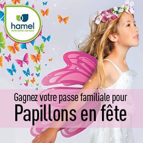 Qu’est-ce que ça mange en hiver un papillon?