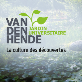 Gagnez votre petit jardin