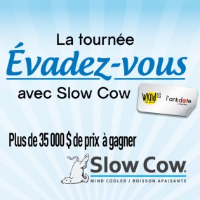 Évadez vous avec Slow Cow 