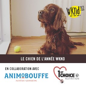 Le chien de Noël AnimObouffe-1st Choice WKND