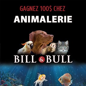 Votre animal de compagnie est le plus hot?