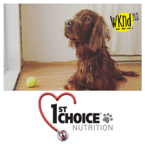 Remportez 1 an de nourriture 1st Choice!
