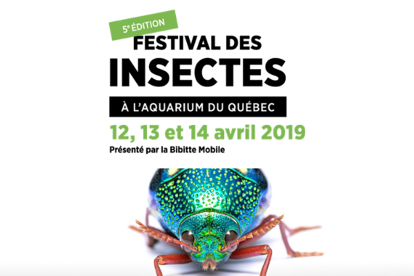 Le Festival des insectes à l'Aquarium du Québec!