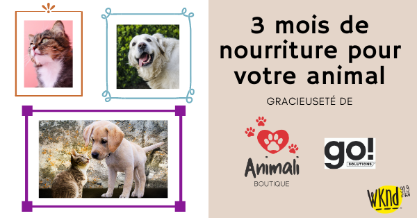 Remportez 3 mois de nourriture pour chien ou chat gracieuseté Animali!