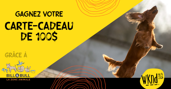 Le jour où votre compagnon est entré dans vos vies