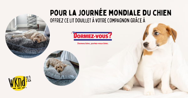 Offrez le confort de Dormez-vous à votre chien !