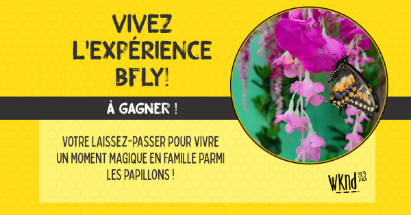 Gagnez votre sortie familiale pour BFLY!