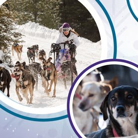 Le 3e classique hivernal de Valcartier