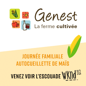 Autocueillette de maïs à la Ferme Genest