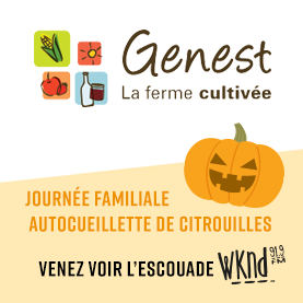 Fêtons DON la citrouille à la Ferme Genest au profit du Grand Village!