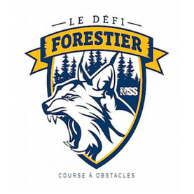 Le Défi Forestier - course à obstables