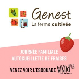 L'autocueillette de fraises à la Ferme Genest!