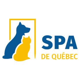 Dernière ligne droite avant la Marche Canine 2018
