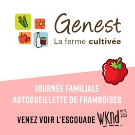 L'autocueillette de framboises à la Ferme Genest!
