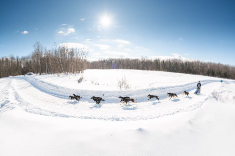 Défi hivernal de Portneuf - Élégance Animale